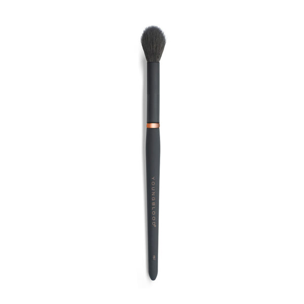 YB7 Highlight Brush