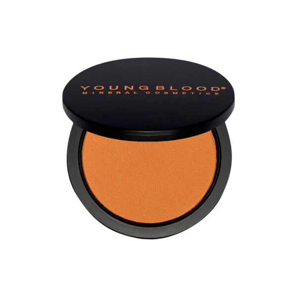 Defining Bronzer - Image 4