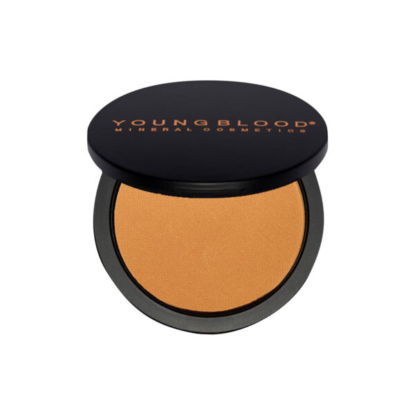 Defining Bronzer - Image 3