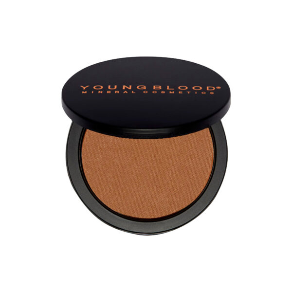 Defining Bronzer - Image 2